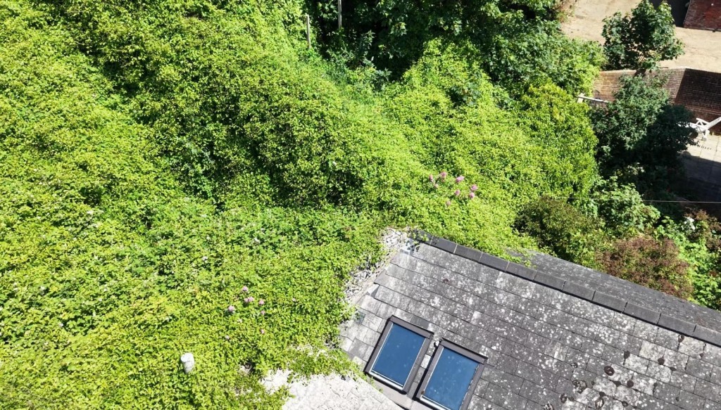 Lot: 179 - LEASEHOLD TOWN CENTRE COTTAGE FOR IMPROVEMENT WITH ADDITIONAL FREEHOLD LAND TO THE REAR - The Roof and Part of the Garden